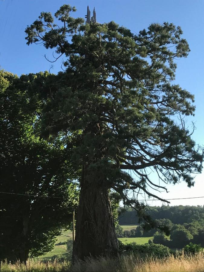 Le Cottage Du Sequoia Chamberet Exterior photo